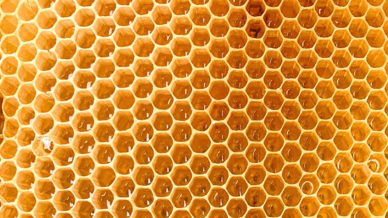 honey
